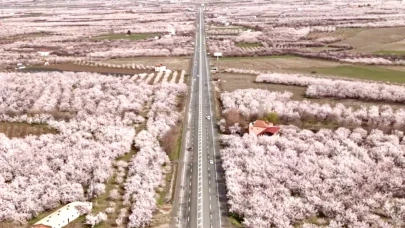Malatya’da kayısı ağaçları çiçek açtı: Vali Seddar Yavuz’dan üreticilere bereket mesajı!