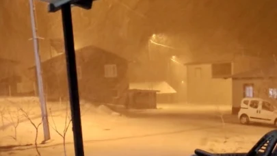 Yağmur yerini kar yağışına bıraktı: Kayısı bu yılda mı yok?