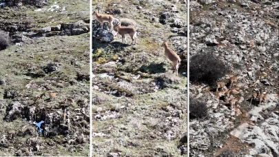 Malatya Beydağı'nda büyüleyen görüntüler: Vali Yavuz o anları paylaştı!