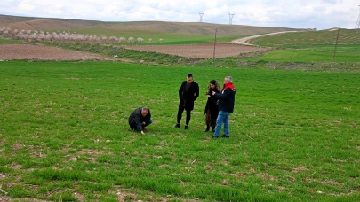 Yazıhan’da buğday üreticilerine teknik destek: Boyaca Mahallesi’nde arazi kontrolleri yapıldı!