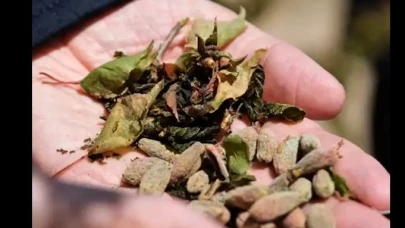 Malatya Valiliği’nden Üreticilere Kritik Zirai Don Uyarısı