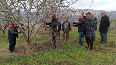 Kale’de çiftçilere uygulamalı meyve ağacı budama eğitimi verildi