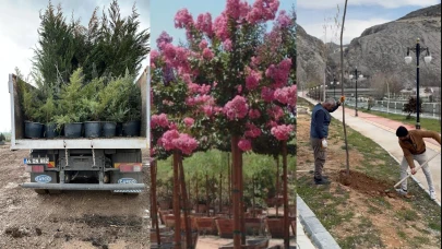 Darende’de 7 bin 312 fidan toprakla buluştu