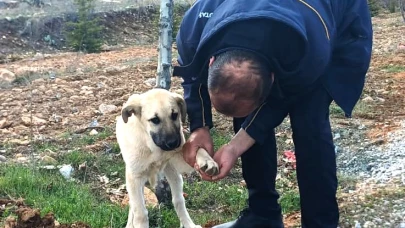 Otobüs şoföründen yüreklere dokunan hareket: İnsanlık ölmemiş!