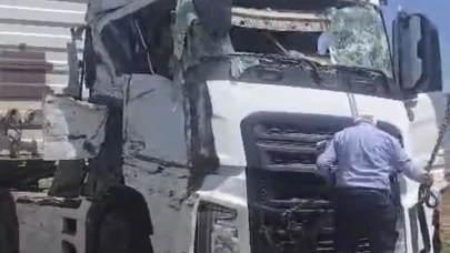 Arapgir’de Koyun Yüklü Tır Devrildi: 100 Hayvan Telef Oldu