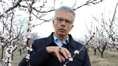 Malatya’da kayısıda don riski: Prof. Dr. İbrahim Gezer’den uyarılar