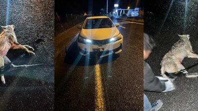 Darende'de Otomobil Kurta Çarptı Maddi Hasar Oluştu