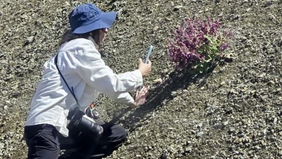Darende’nin Bitki Zenginliği Kayıt Altına Alınıyor: Hedef “Darende Florası” Kitabı