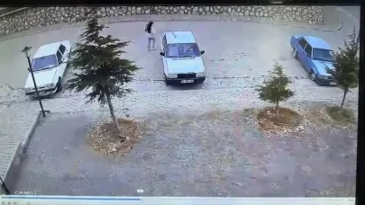 Aysel Yıldırım Soruşturmasında Çarpıcı Detaylar Ortaya Çıktı