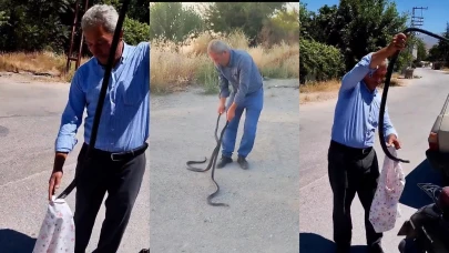 1.5 Metrelik İki Kara Yılanını Elleriyle Yakaladı!