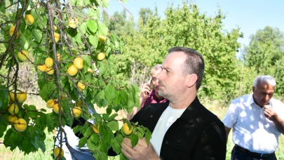 "Fiyatlar Üreticinin Emeğini Karşılamıyor, TMO Acilen Devreye Girmeli!"