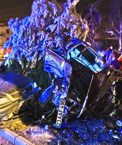 Malatya'da Zincirleme Kaza Kamerada: Refüje Çıktı, Ağacı Devirdi