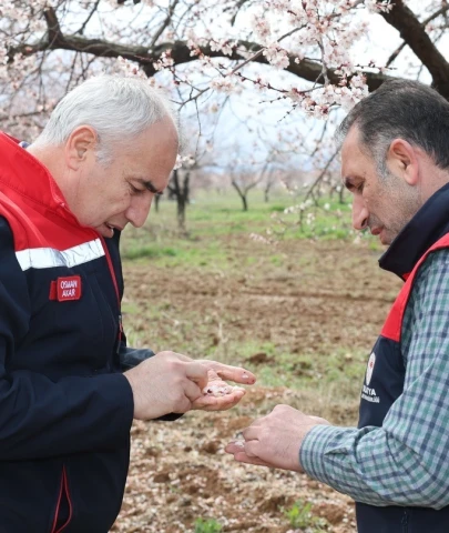 Osman Akar Yeşilyurt’ta kayısı bahçelerini inceledi: Dolu yağışı sonrası müjdeli haber!