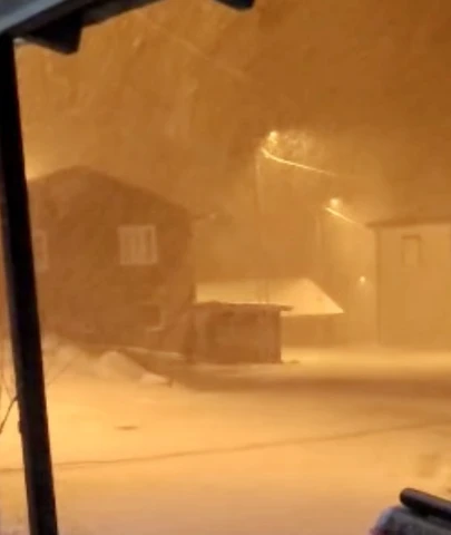 Yağmur yerini kar yağışına bıraktı: Kayısı bu yılda mı yok?