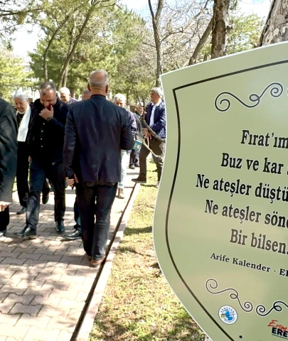 Arguvan’da ağaçlar türkü açtı: Belediye’den kültürel mirasa anlamlı dokunuş!