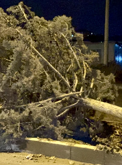 Malatya Fırtına ve Sel Kabusu: Ağaçlar Devrildi, 1 Yaralı
