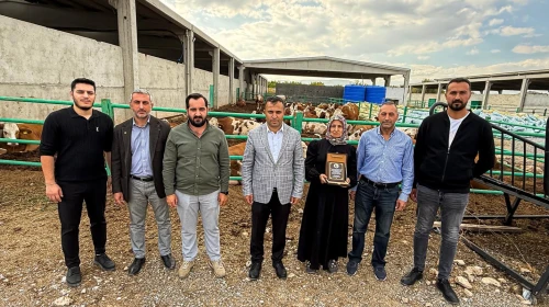 Malatyalı Girişimci Hafure Adak, Hayvancılıkta Örnek Başarı Elde Etti