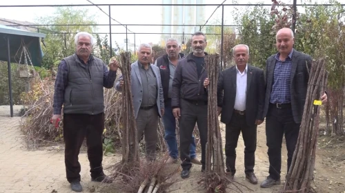 Malatya’da Meyve Fidanı Satış Sezonu Başladı: Fiyatlar Açıklandı