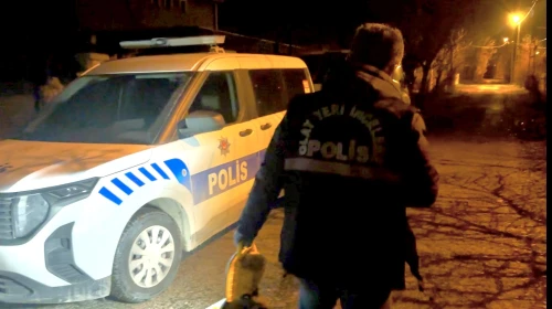 Malatya'da Bağ Evinde Silahlı Oyun Kanlı Bitti: 16 Yaşındaki Kız Vuruldu