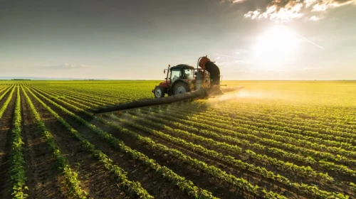 Bakan Yumaklı: “Üreticimizin Yanında Olmaya Devam Ediyoruz”