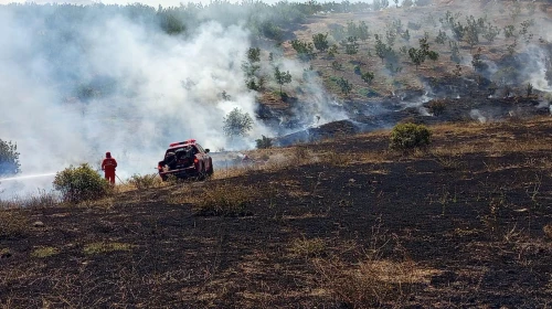 Doğanyol’da yine orman yangını başladı