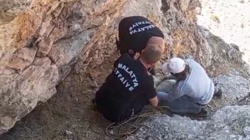 Yeşilyurt’ta mahsur kalan 4 keçi kurtarıldı