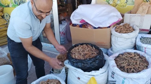 Sumak Hasadı Başladı: Kilosu 350 TL