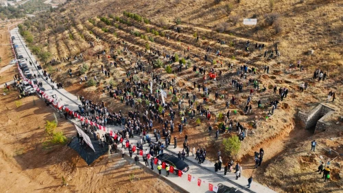 Malatya’da 1246 Deprem Şehidi Anısına Hatıra Ormanı Yenileniyor