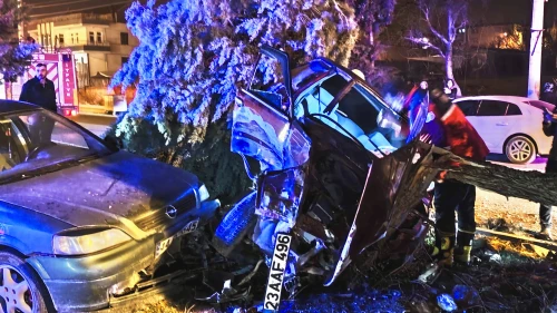 Malatya'da Zincirleme Kaza Kamerada: Refüje Çıktı, Ağacı Devirdi