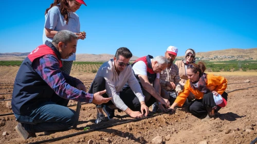 Kuluncak’ta Organik Çilek Üretimi İçin Fide Dağıtımı Gerçekleştirildi