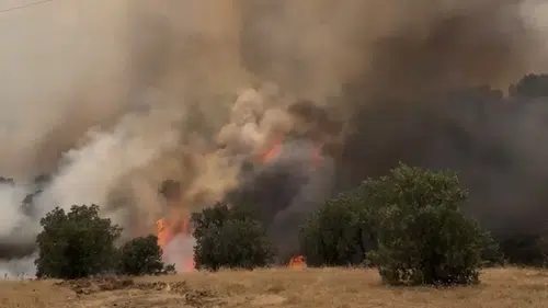 Pütürge’deki Yangın Havadan ve Karadan Müdahaleyle Kontrol Altına Alındı