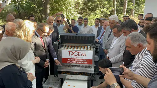 Kayısı Çekirdeği Çıkarma Makinesi Tanıtıldı!