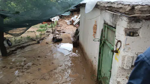 Hekimhan'da Sağanak Yağış Dereleri Taşırdı: Kayısılar Zarar Gördü