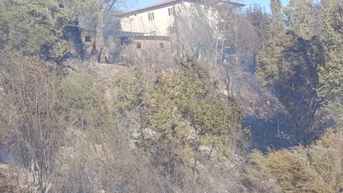 Darende'deki yangın kontrol altına alındı: 2 ahır yandı,