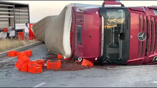 Yeşilyurt'ta Kayısı Yüklü Tır Devrildi: Sürücü Yaralandı
