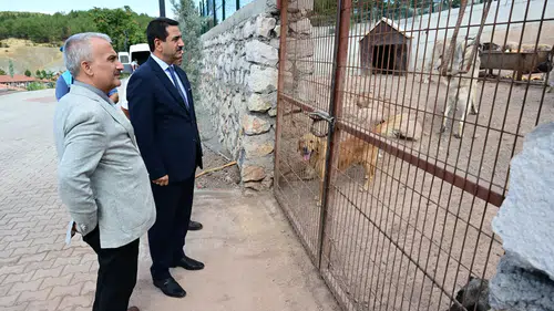 Başkan Taşkın, Hayvan Barınağında İncelemelerde Bulundu