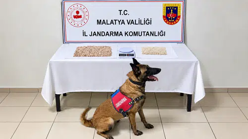 Battalgazi'de Uyuşturucu Operasyonu: 1 Şüpheli Gözaltında