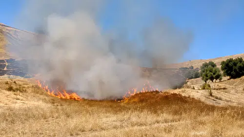 Akçadağ'da Trafodan Sıçrayan Kıvılcımlar Yangına Neden Oldu