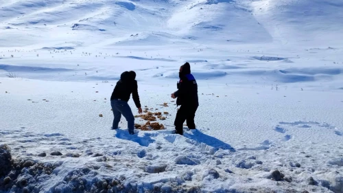 Doğanşehir Zabıtası’ndan Örnek Davranış: Yaban Hayvanları Unutulmadı