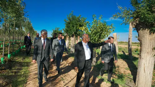 İstanbul’da Ağaç Tartışması, Malatya’da Örnek Uygulama