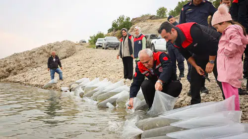 Malatya’da 1 Milyon 300 Bin Sazan Yavrusu Suya Bırakıldı
