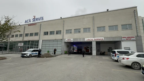 Karşıdan Karşıya Geçen Yayaya Otomobil Çarptı: 1 Ölü