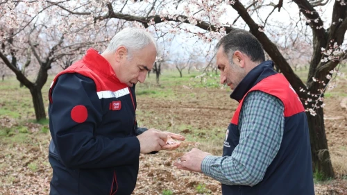 Osman Akar Yeşilyurt’ta kayısı bahçelerini inceledi: Dolu yağışı sonrası müjdeli haber!