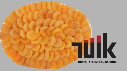 Türkiye’nin üretim gücü verilerle tescillendi: Kayısıda yüzde 594,9’luk rekor yeterlilik!