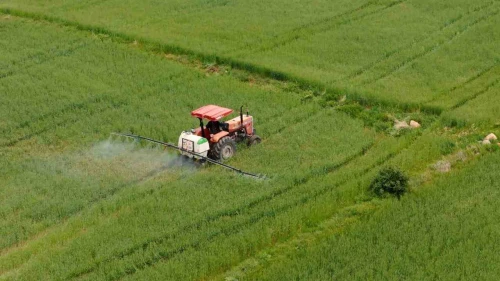 Çiftçilere müjde: 10,6 milyar liralık tarımsal destek ödemesi bugün hesaplara yatıyor!