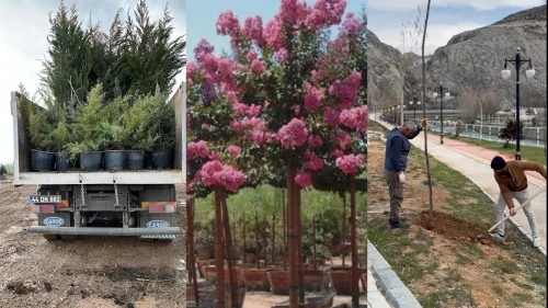 Darende’de 7 bin 312 fidan toprakla buluştu