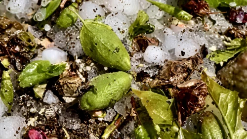 Darende’de Dolu Kabusu: Kayısı Çağlaları Yerle Bir Oldu