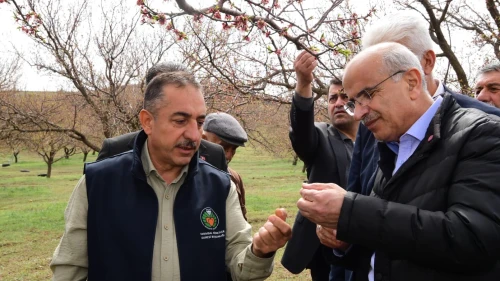 Başkan Sami Er Dolu Bölgesinde: Hasar Envanteri İlgili Kurumlara İletilecek