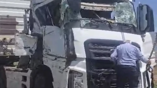 Arapgir’de Koyun Yüklü Tır Devrildi: 100 Hayvan Telef Oldu