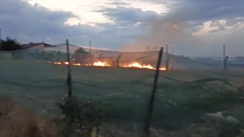 Otların Alev Almasına Ramak Kala Orman Yangını Önlendi!